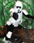 TB/TK-8224