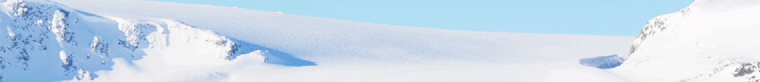 501st Nordic Garrison