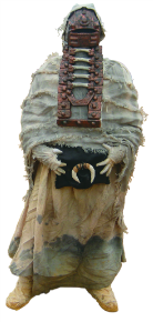 dz-female-tusken